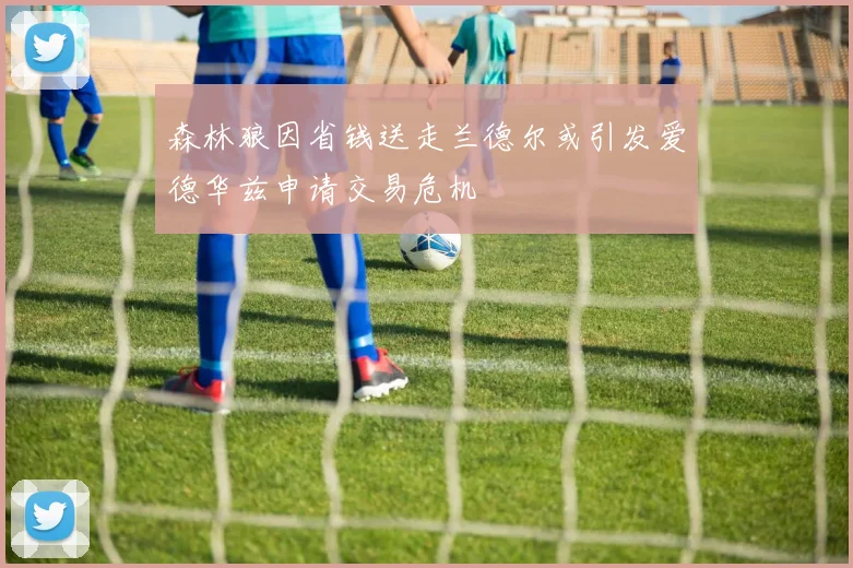 森林狼因省钱送走兰德尔或引发爱德华兹申请交易危机